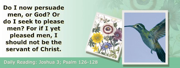 https://bibletruthpublishers.com/ComfortOfScriptures/wp-content/uploads/cos-hdg-2026-182.jpg