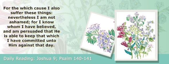 https://bibletruthpublishers.com/ComfortOfScriptures/wp-content/uploads/cos-hdg-2026-188.jpg