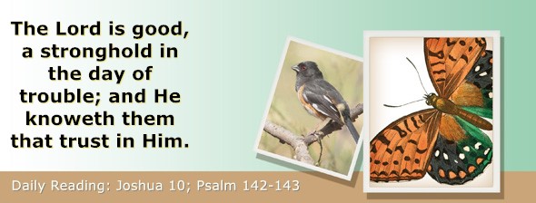 https://bibletruthpublishers.com/ComfortOfScriptures/wp-content/uploads/cos-hdg-2026-189.jpg