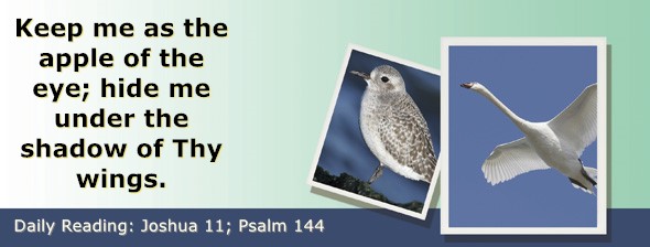 https://bibletruthpublishers.com/ComfortOfScriptures/wp-content/uploads/cos-hdg-2026-190.jpg