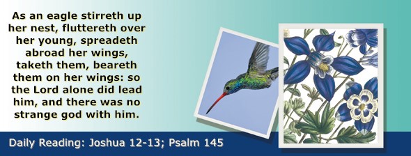 https://bibletruthpublishers.com/ComfortOfScriptures/wp-content/uploads/cos-hdg-2026-191.jpg