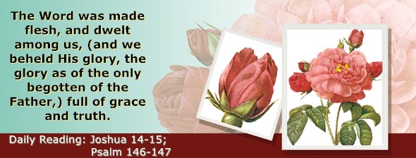 https://bibletruthpublishers.com/ComfortOfScriptures/wp-content/uploads/cos-hdg-2026-192.jpg