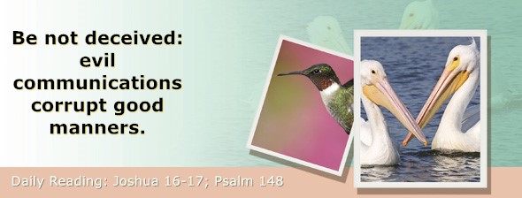 https://bibletruthpublishers.com/ComfortOfScriptures/wp-content/uploads/cos-hdg-2026-193.jpg