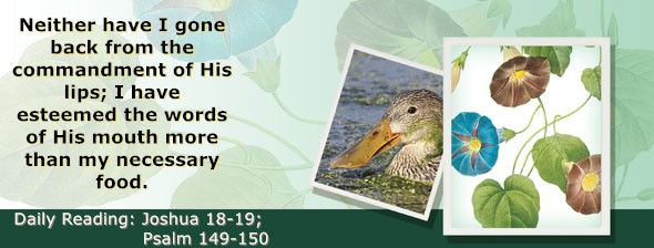 https://bibletruthpublishers.com/ComfortOfScriptures/wp-content/uploads/cos-hdg-2026-194.jpg