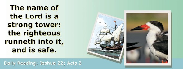 https://bibletruthpublishers.com/ComfortOfScriptures/wp-content/uploads/cos-hdg-2026-196.jpg