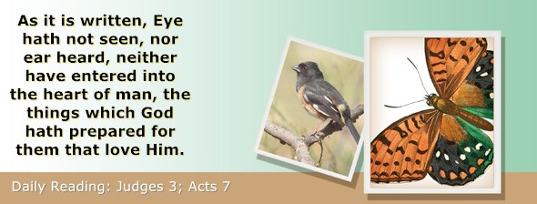 https://bibletruthpublishers.com/ComfortOfScriptures/wp-content/uploads/cos-hdg-2026-201.jpg