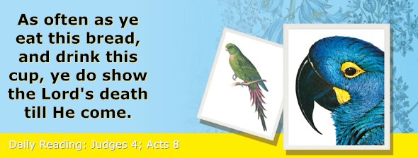 https://bibletruthpublishers.com/ComfortOfScriptures/wp-content/uploads/cos-hdg-2026-202.jpg