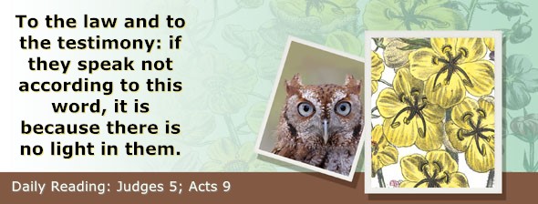 https://bibletruthpublishers.com/ComfortOfScriptures/wp-content/uploads/cos-hdg-2026-203.jpg