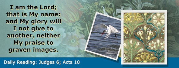 https://bibletruthpublishers.com/ComfortOfScriptures/wp-content/uploads/cos-hdg-2026-204.jpg