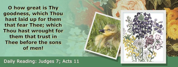 https://bibletruthpublishers.com/ComfortOfScriptures/wp-content/uploads/cos-hdg-2026-205.jpg