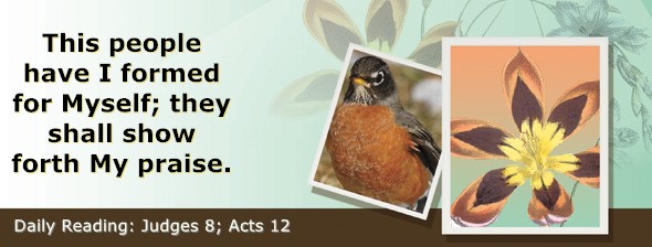 https://bibletruthpublishers.com/ComfortOfScriptures/wp-content/uploads/cos-hdg-2026-206.jpg