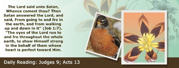 https://bibletruthpublishers.com/ComfortOfScriptures/wp-content/uploads/cos-hdg-2026-207.jpg