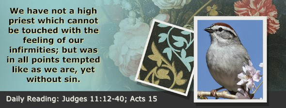 https://bibletruthpublishers.com/ComfortOfScriptures/wp-content/uploads/cos-hdg-2026-209.jpg