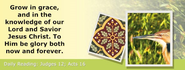 https://bibletruthpublishers.com/ComfortOfScriptures/wp-content/uploads/cos-hdg-2026-210.jpg