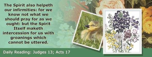 https://bibletruthpublishers.com/ComfortOfScriptures/wp-content/uploads/cos-hdg-2026-211.jpg