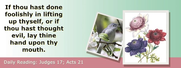 https://bibletruthpublishers.com/ComfortOfScriptures/wp-content/uploads/cos-hdg-2026-215.jpg