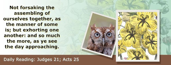 https://bibletruthpublishers.com/ComfortOfScriptures/wp-content/uploads/cos-hdg-2026-219.jpg