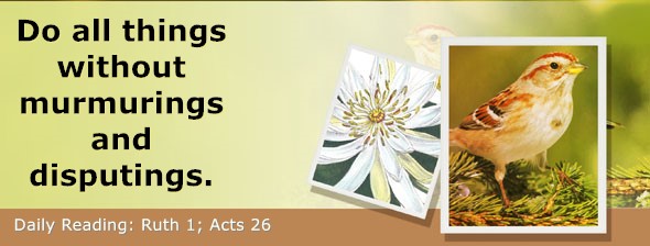 https://bibletruthpublishers.com/ComfortOfScriptures/wp-content/uploads/cos-hdg-2026-220.jpg