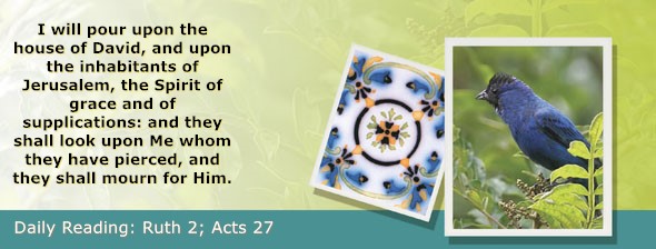 https://bibletruthpublishers.com/ComfortOfScriptures/wp-content/uploads/cos-hdg-2026-221.jpg
