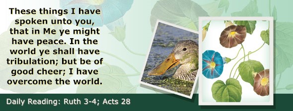 https://bibletruthpublishers.com/ComfortOfScriptures/wp-content/uploads/cos-hdg-2026-222.jpg