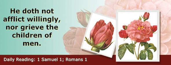 https://bibletruthpublishers.com/ComfortOfScriptures/wp-content/uploads/cos-hdg-2026-223.jpg