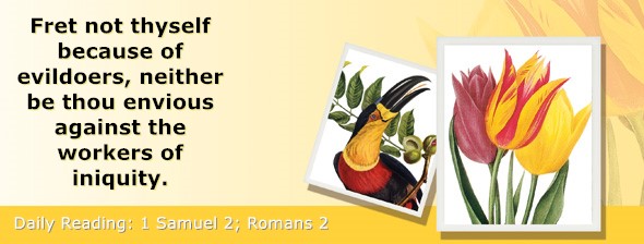 https://bibletruthpublishers.com/ComfortOfScriptures/wp-content/uploads/cos-hdg-2026-224.jpg