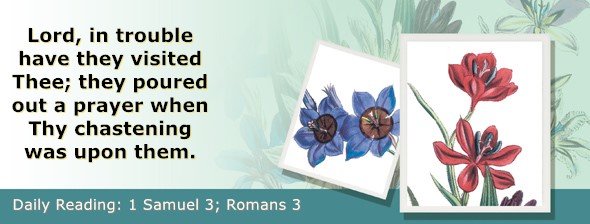 https://bibletruthpublishers.com/ComfortOfScriptures/wp-content/uploads/cos-hdg-2026-225.jpg