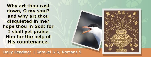https://bibletruthpublishers.com/ComfortOfScriptures/wp-content/uploads/cos-hdg-2026-227.jpg