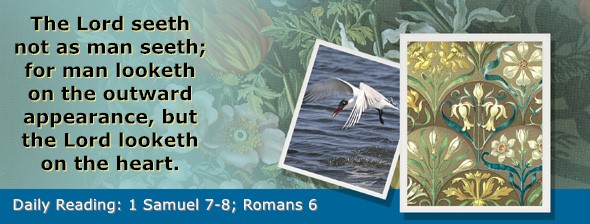 https://bibletruthpublishers.com/ComfortOfScriptures/wp-content/uploads/cos-hdg-2026-228.jpg