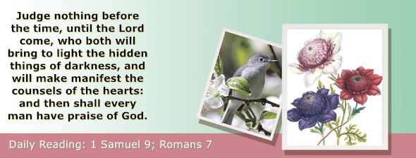 https://bibletruthpublishers.com/ComfortOfScriptures/wp-content/uploads/cos-hdg-2026-229.jpg