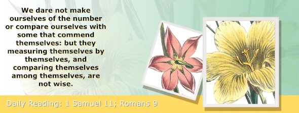 https://bibletruthpublishers.com/ComfortOfScriptures/wp-content/uploads/cos-hdg-2026-231.jpg