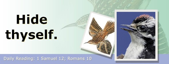 https://bibletruthpublishers.com/ComfortOfScriptures/wp-content/uploads/cos-hdg-2026-232.jpg