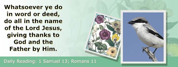 https://bibletruthpublishers.com/ComfortOfScriptures/wp-content/uploads/cos-hdg-2026-233.jpg