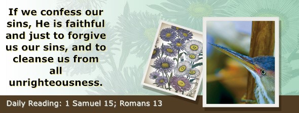 https://bibletruthpublishers.com/ComfortOfScriptures/wp-content/uploads/cos-hdg-2026-235.jpg