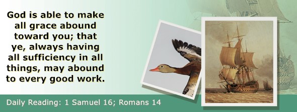 https://bibletruthpublishers.com/ComfortOfScriptures/wp-content/uploads/cos-hdg-2026-236.jpg