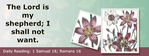 https://bibletruthpublishers.com/ComfortOfScriptures/wp-content/uploads/cos-hdg-2026-238.jpg