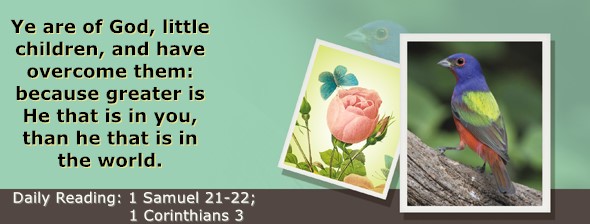 https://bibletruthpublishers.com/ComfortOfScriptures/wp-content/uploads/cos-hdg-2026-241.jpg