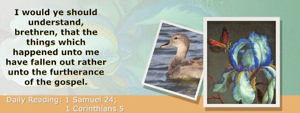 https://bibletruthpublishers.com/ComfortOfScriptures/wp-content/uploads/cos-hdg-2026-243.jpg