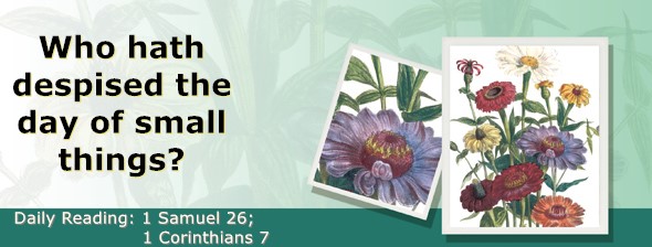 https://bibletruthpublishers.com/ComfortOfScriptures/wp-content/uploads/cos-hdg-2026-245.jpg