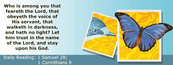 https://bibletruthpublishers.com/ComfortOfScriptures/wp-content/uploads/cos-hdg-2026-247.jpg
