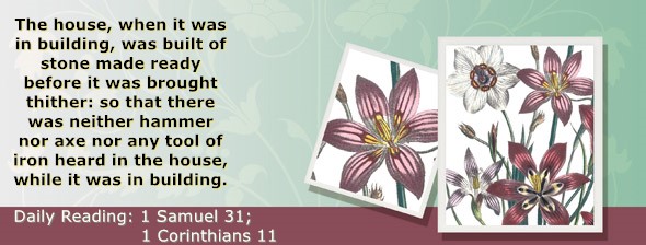 https://bibletruthpublishers.com/ComfortOfScriptures/wp-content/uploads/cos-hdg-2026-249.jpg