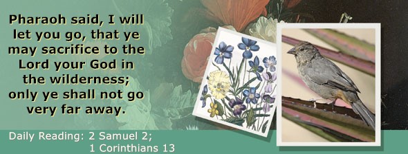 https://bibletruthpublishers.com/ComfortOfScriptures/wp-content/uploads/cos-hdg-2026-251.jpg