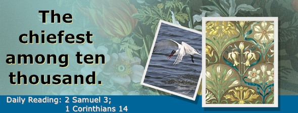 https://bibletruthpublishers.com/ComfortOfScriptures/wp-content/uploads/cos-hdg-2026-252.jpg