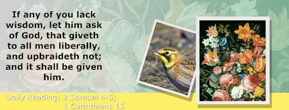 https://bibletruthpublishers.com/ComfortOfScriptures/wp-content/uploads/cos-hdg-2026-253.jpg