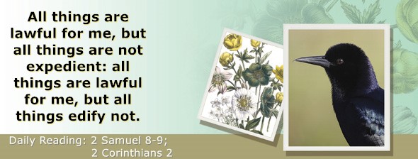 https://bibletruthpublishers.com/ComfortOfScriptures/wp-content/uploads/cos-hdg-2026-256.jpg