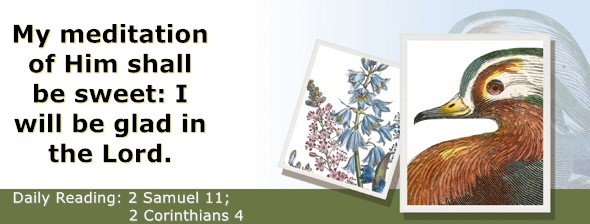 https://bibletruthpublishers.com/ComfortOfScriptures/wp-content/uploads/cos-hdg-2026-258.jpg