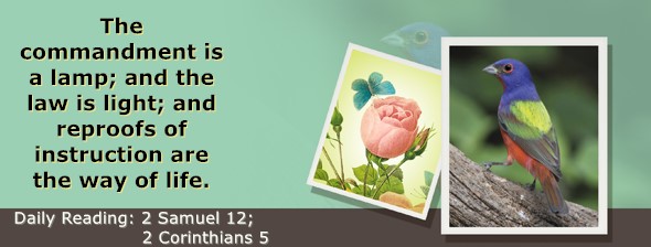 https://bibletruthpublishers.com/ComfortOfScriptures/wp-content/uploads/cos-hdg-2026-259.jpg
