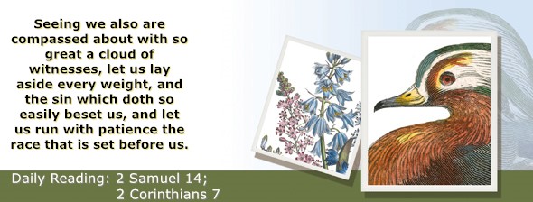 https://bibletruthpublishers.com/ComfortOfScriptures/wp-content/uploads/cos-hdg-2026-261.jpg