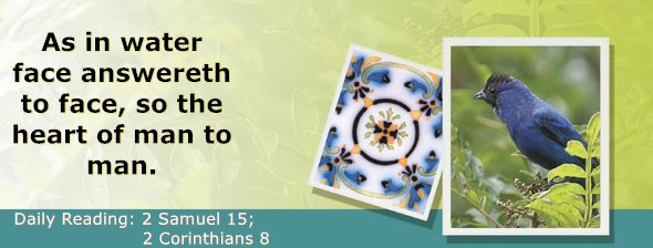 https://bibletruthpublishers.com/ComfortOfScriptures/wp-content/uploads/cos-hdg-2026-262.jpg