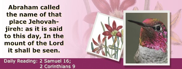 https://bibletruthpublishers.com/ComfortOfScriptures/wp-content/uploads/cos-hdg-2026-263.jpg